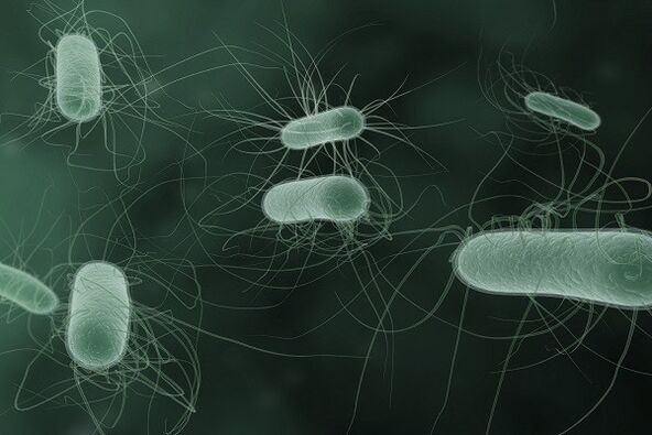 mikroorganismi, kas satraukti izraisa patoloģisku izlādi
